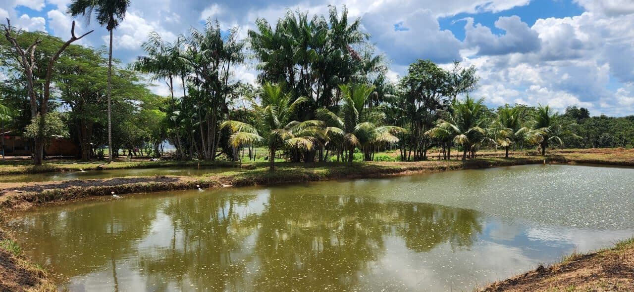 Fazenda/Sítios/Chácaras em Poxoréu - RURAL