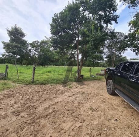 Chácara à venda, 17000 m² por R$ 700.000,00 - Zona Rural - Poxoréu/MT