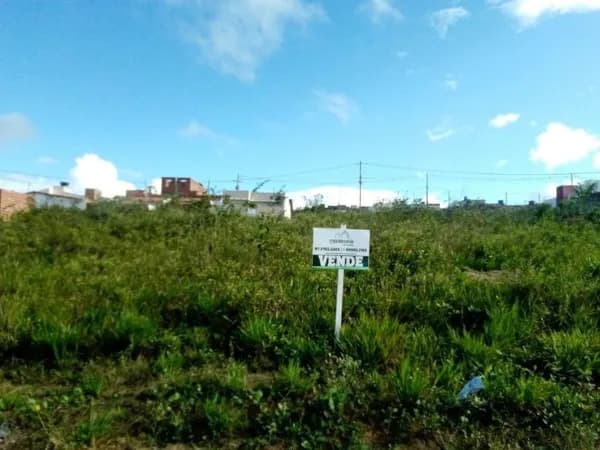 Terreno à venda, 200 m² por R$ 55.000,00 - Francisco Simão dos Santos Figueira - Cohab 2 - Garanhuns/PE