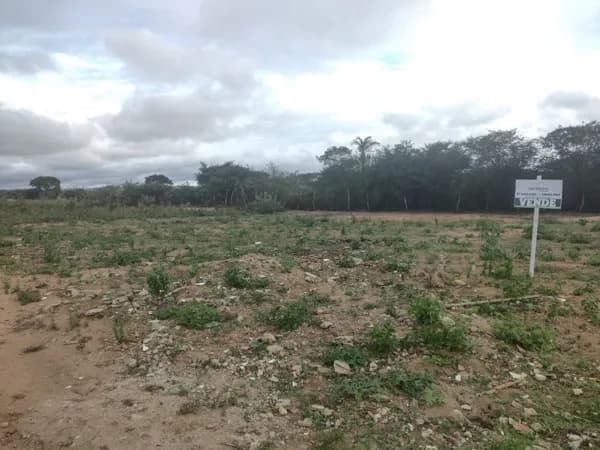 Terreno à venda, 200 m² por R$ 12.000,00 - Miracica - Garanhuns/PE