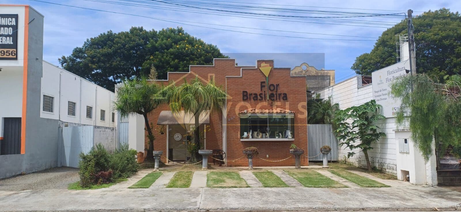 Salão Comercial Girassóis de Holanda - Holambra/SP