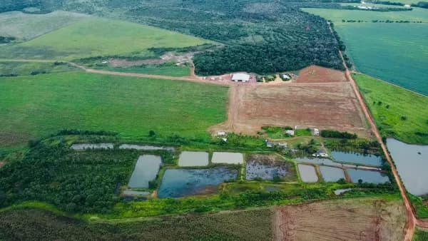 Fazenda/Sítios/Chácaras em Nortelândia - Centro