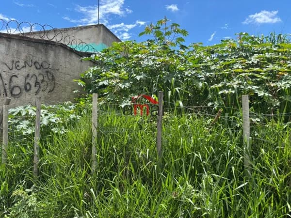 Apartamento à venda no bairro Belvedere em Ribeirão das Neves/MG
