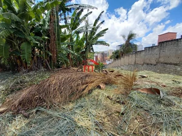 Terreno à venda no bairro Castelo em Belo Horizonte/MG