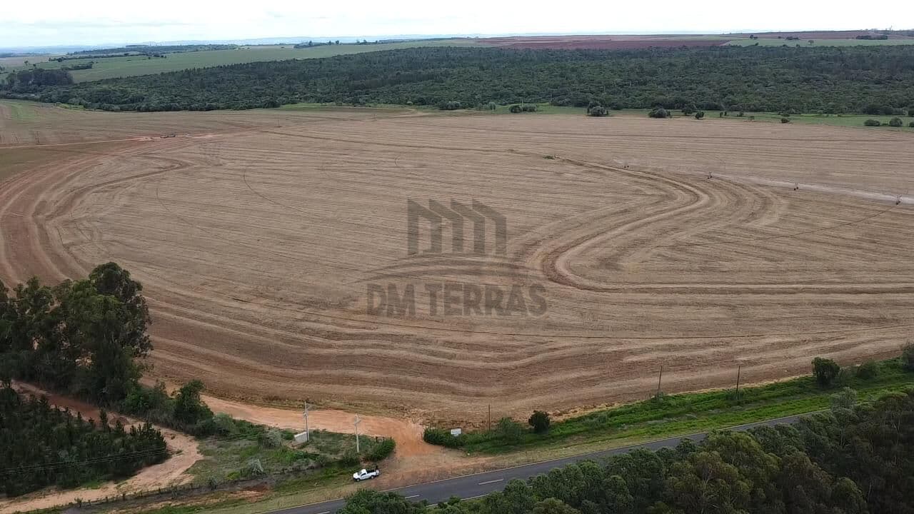 Fazenda Cerqueira Cesar 77 alqueires terra roxa