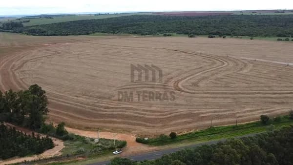 Fazenda Cerqueira Cesar 77 alqueires terra roxa