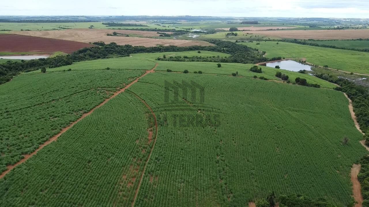 Fazenda Com Cana 84 Alqueires com Renda Região Avaré