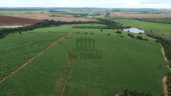 Fazenda Com Cana 84 Alqueires com Renda Região Avaré