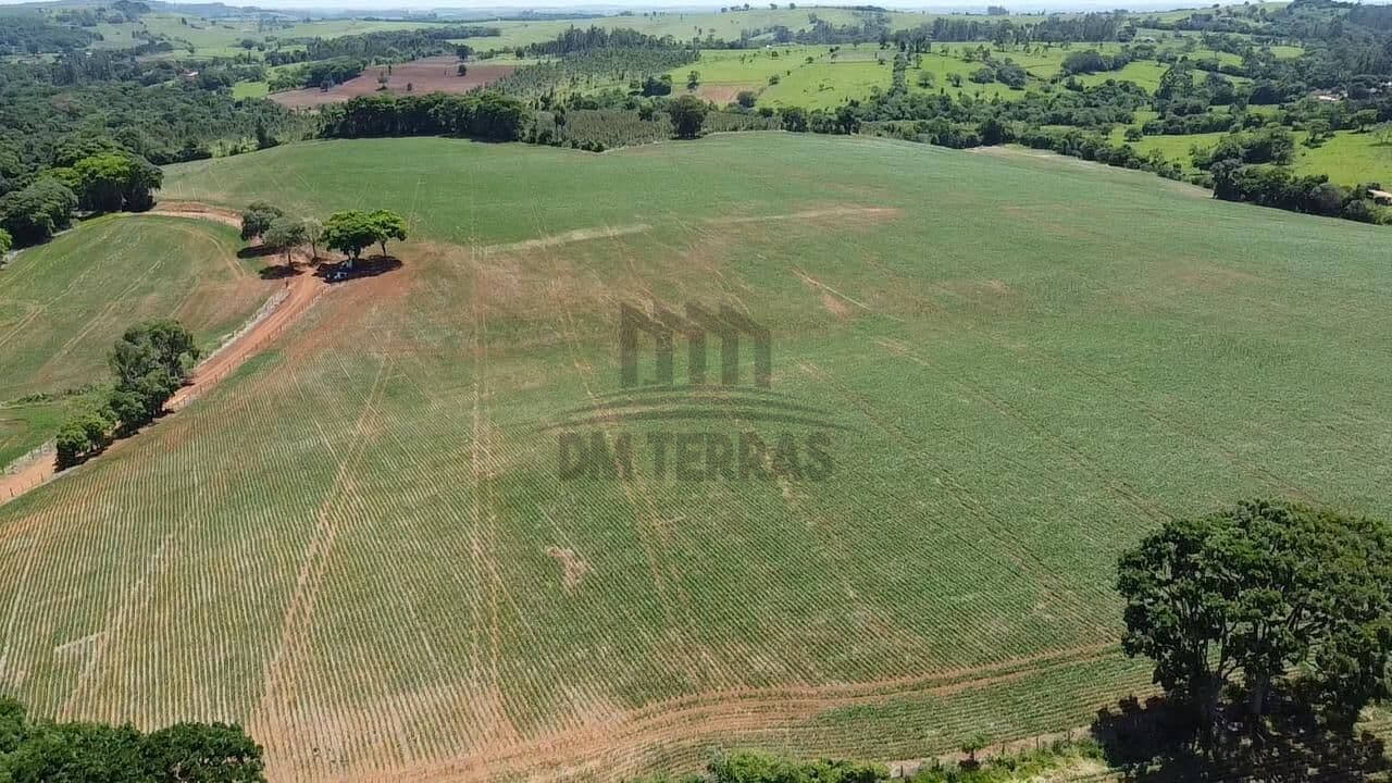Sítio 14,5 alqueires Itapetininga