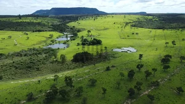 fazenda 294 alqueires (Oportunidade)