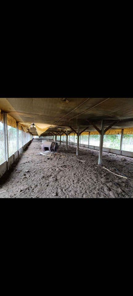 Fazenda/Sítios/Chácaras em Cesário Lange - Zona Rural