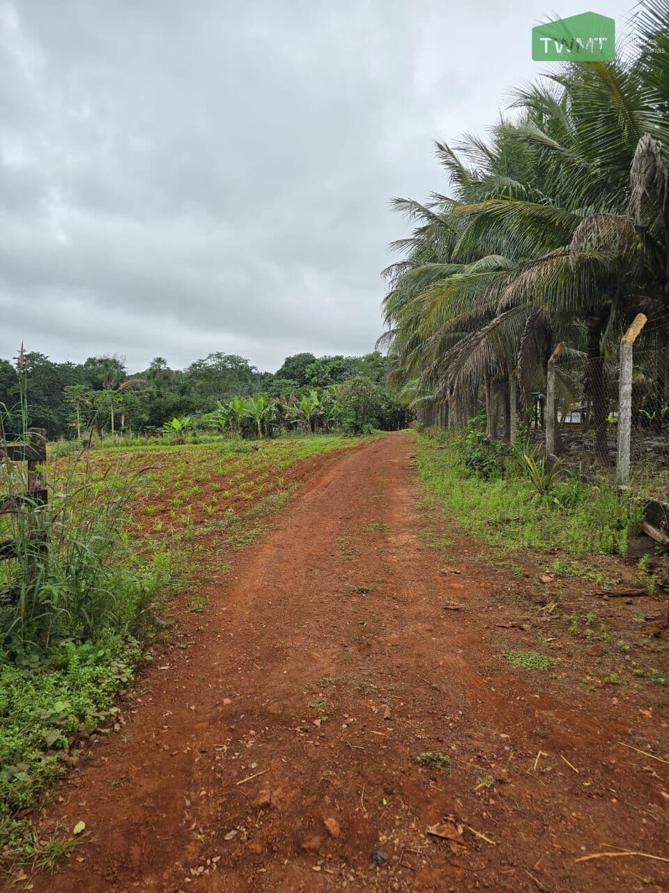 Fazenda/Sítios/Chácaras em Tangará da Serra - Centro