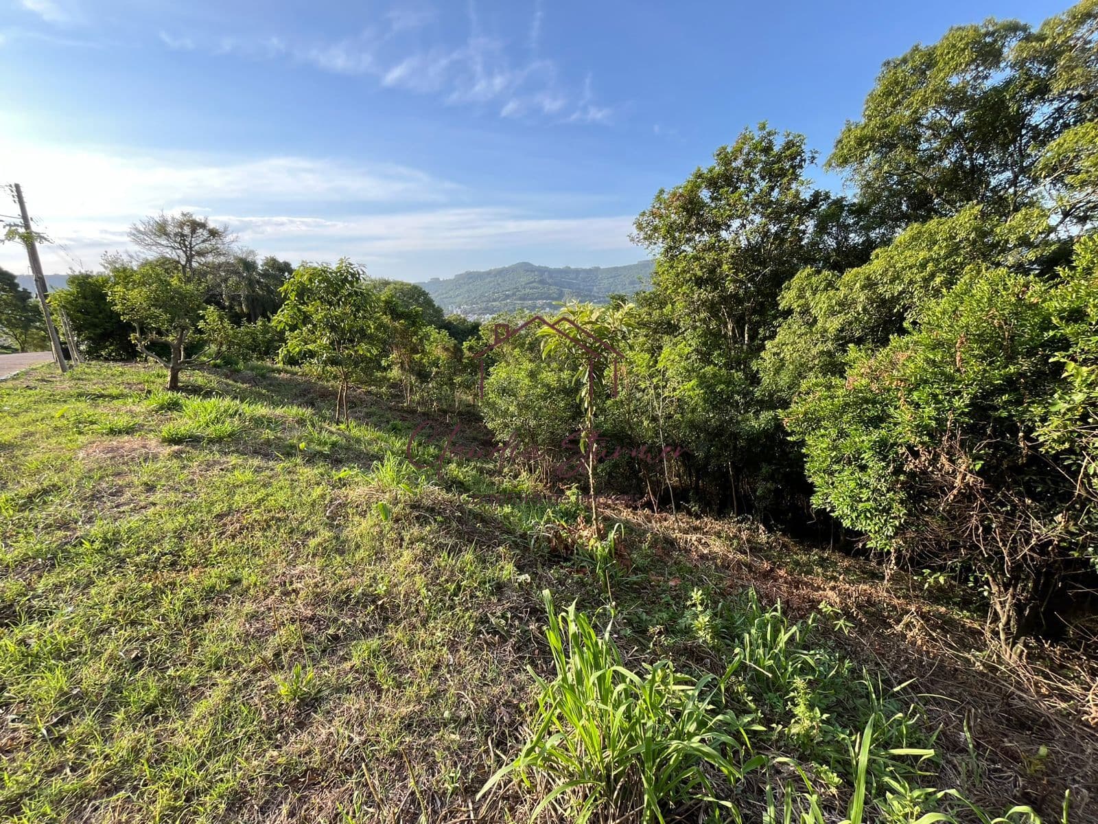 Terreno em Loteamento em Colina, Feliz/RS