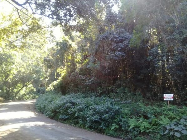 Fazenda/Sítios/Chácaras em Bom Princípio - Piedade