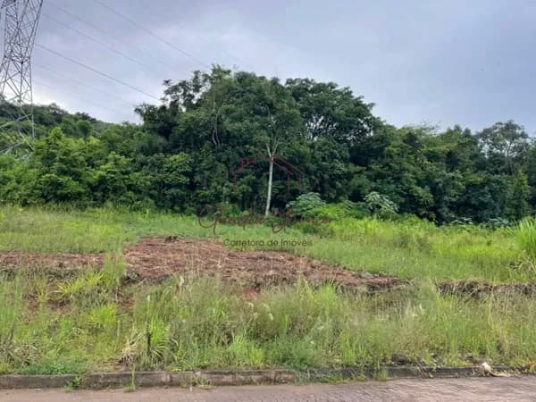 Lote/Terreno em Vale Real - Morro Paris