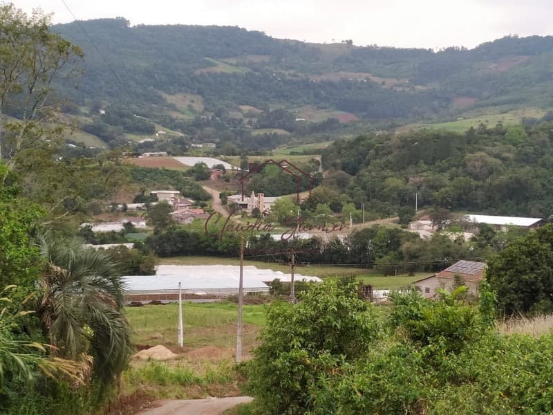 Fazenda/Sítios/Chácaras em Feliz - Roncador