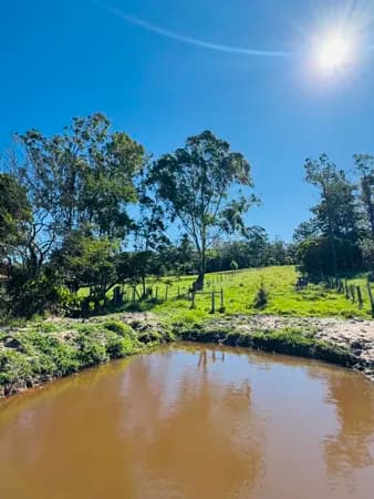 Fazenda/Sítios/Chácaras em Capivari de Baixo - Vila Flor