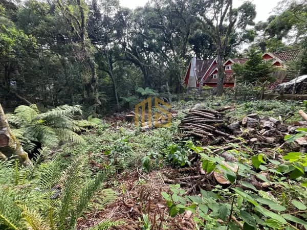 Terreno em Canela - Vila Suíça