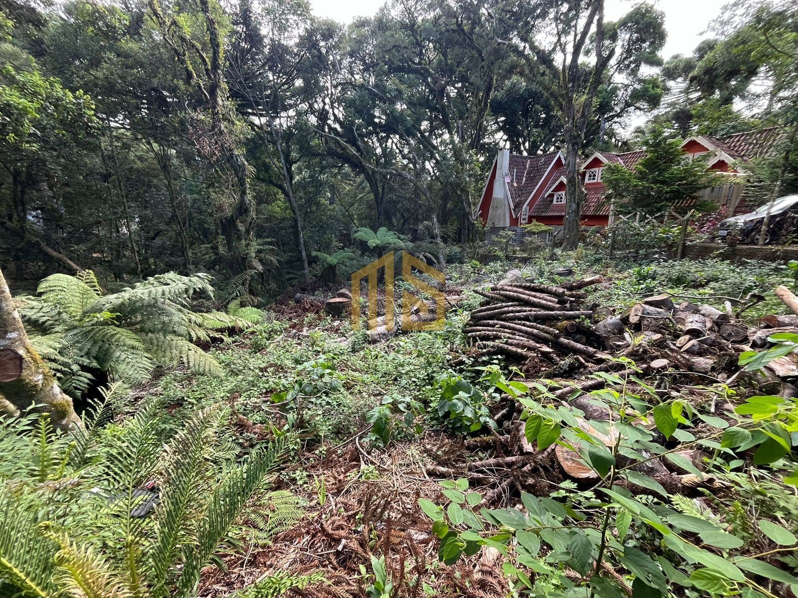 Terreno em Canela - Vila Suíça