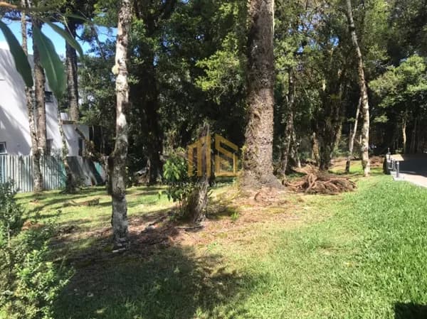 Terreno no Condomínio Altos Pinheiros