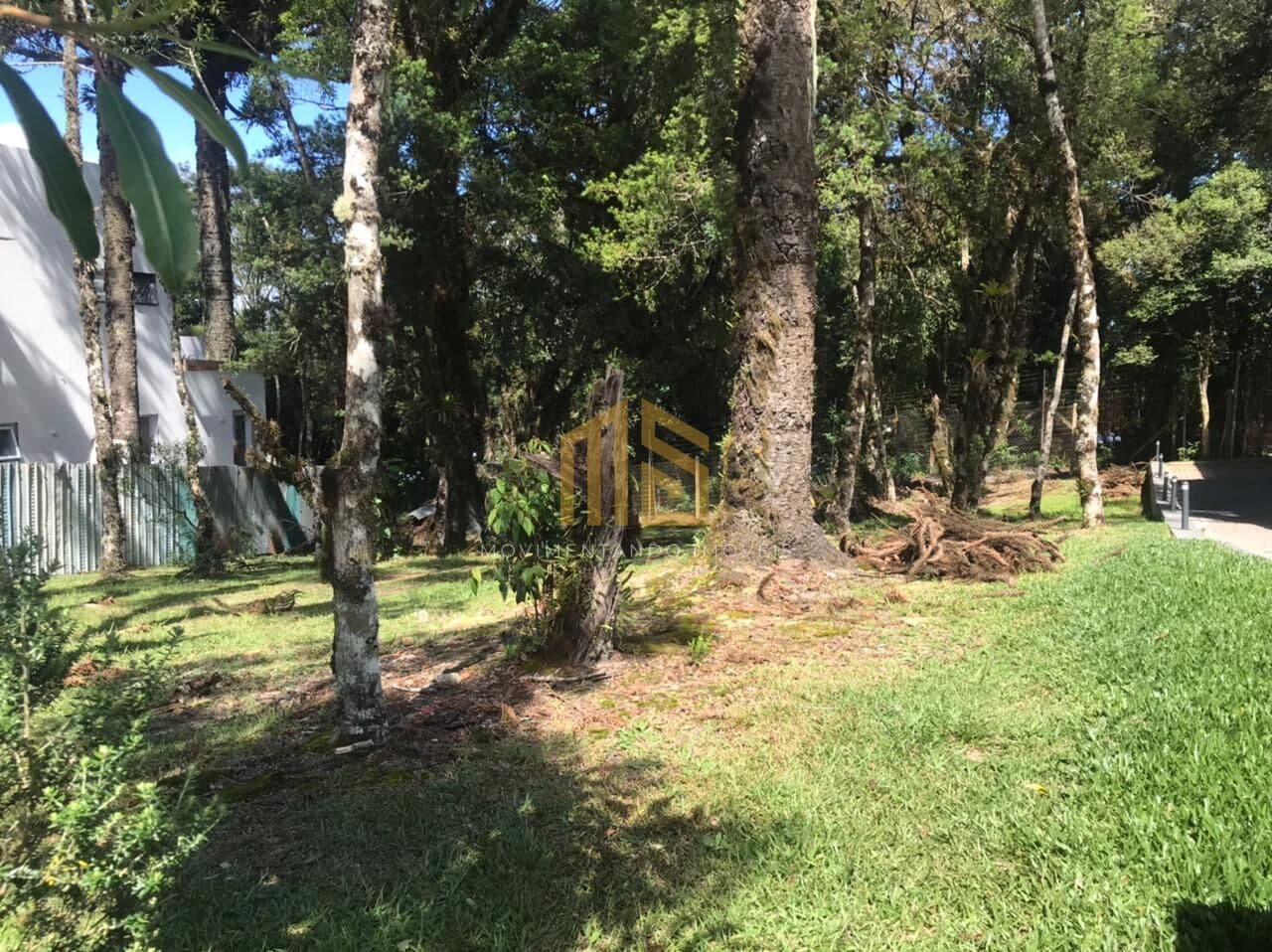Terreno no Condomínio Altos Pinheiros