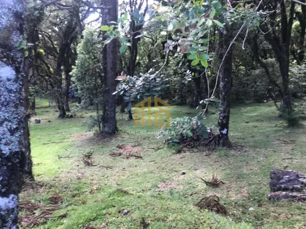 Terreno no Condomínio Altos Pinheiros