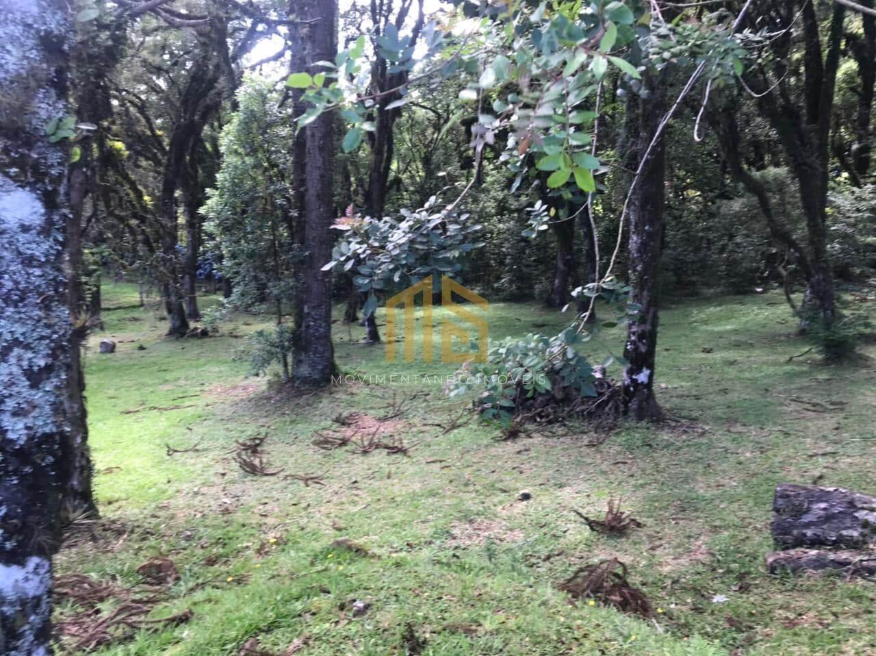 Terreno no Condomínio Altos Pinheiros