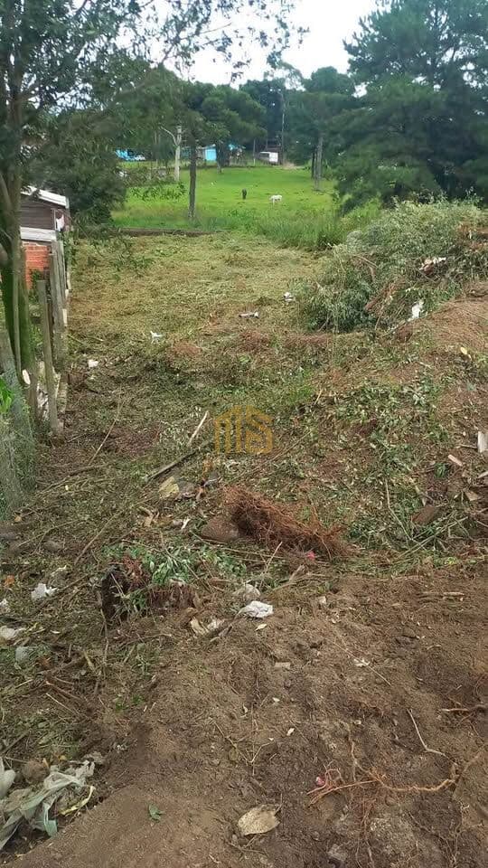 Terreno em Canela com 398 m2