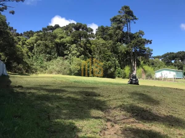 Terreno no Condomínio Altos Pinheiros
