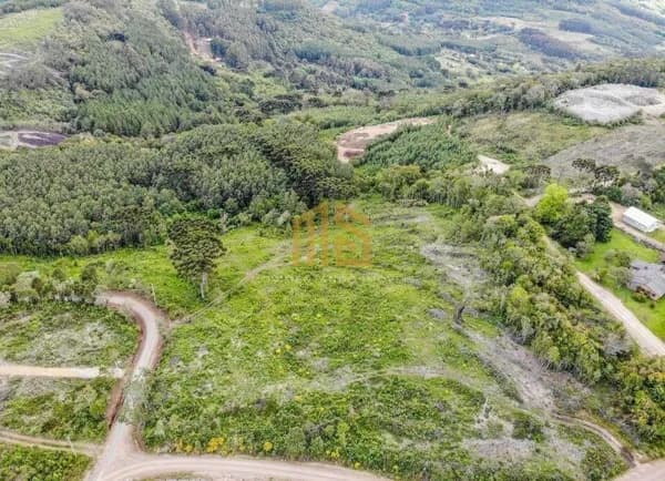 Linda área com3 hectares na Tapera de Gramado