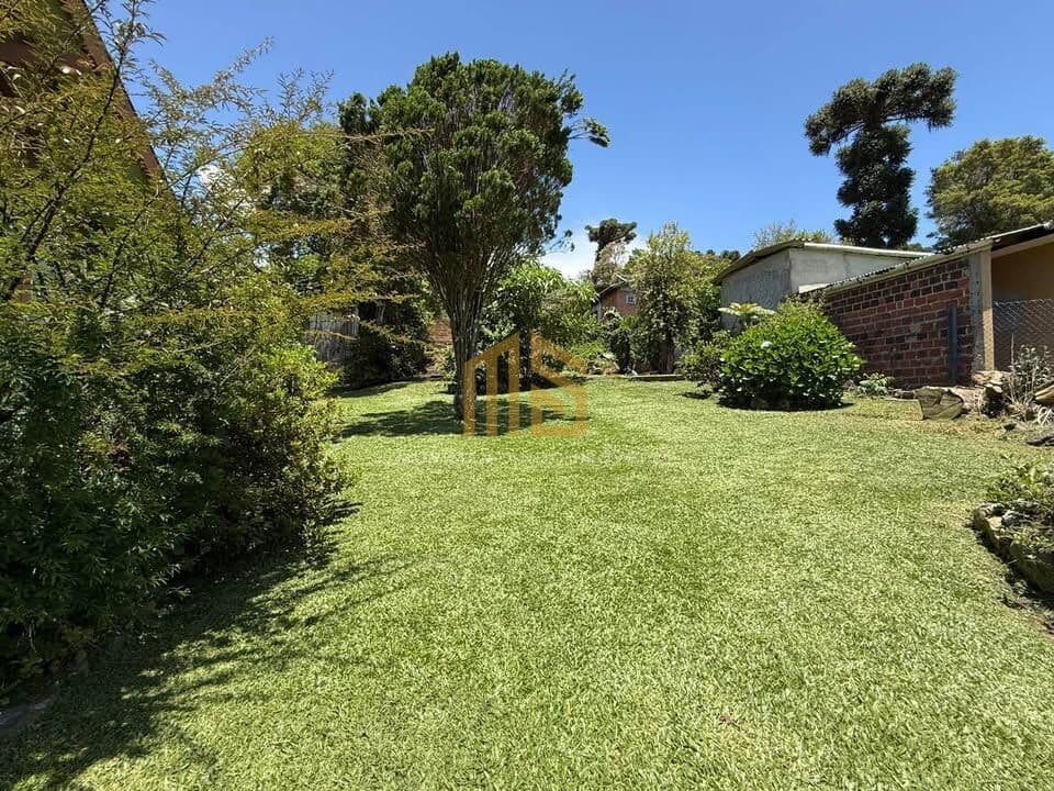 Terreno em Canela com 330 m²