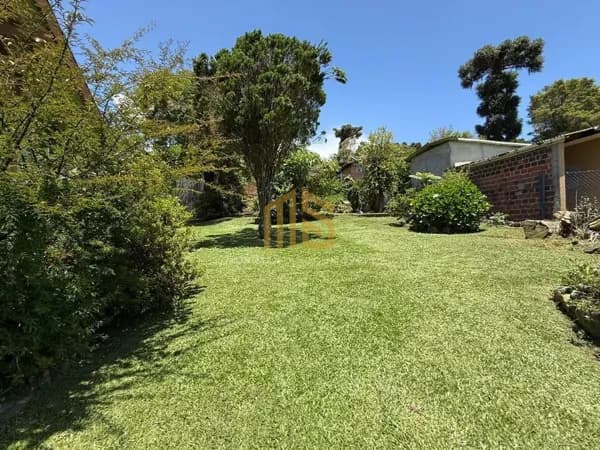 Terreno em Canela com 330 m²