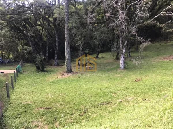 Terreno no Condomínio Altos Pinheiros