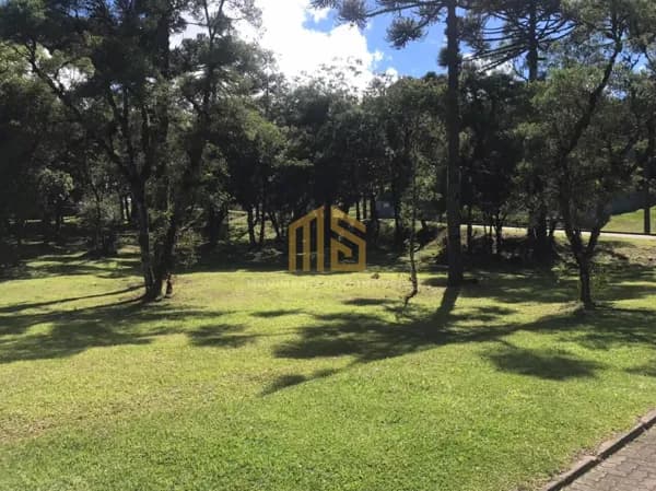 Terreno no Condomínio Altos Pinheiros