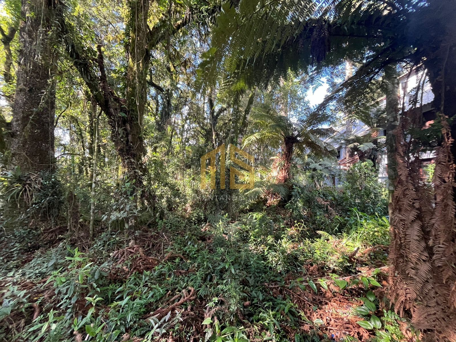 Terreno na Vila Suzana 1100 m²