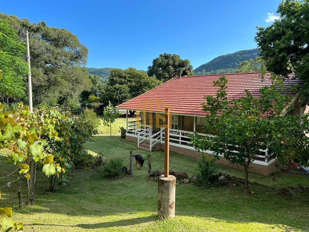 Lindo Sítio com 5 hectares na Linha Tapera de Gramado