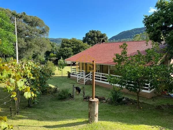 Lindo Sítio com 5 hectares na Linha Tapera de Gramado