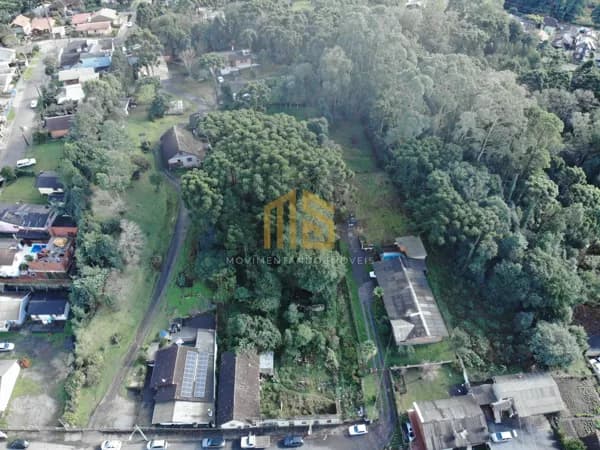 Terreno Para Edificação em Canela