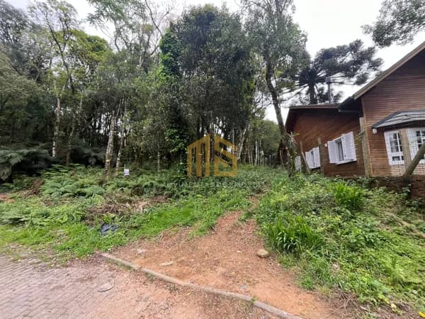 Terreno em Canela com 680 m²
