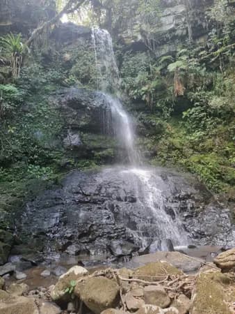 Terreno Rural