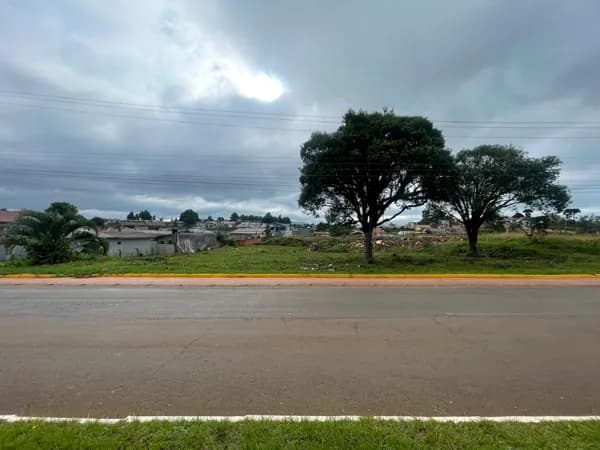 Av. Lions