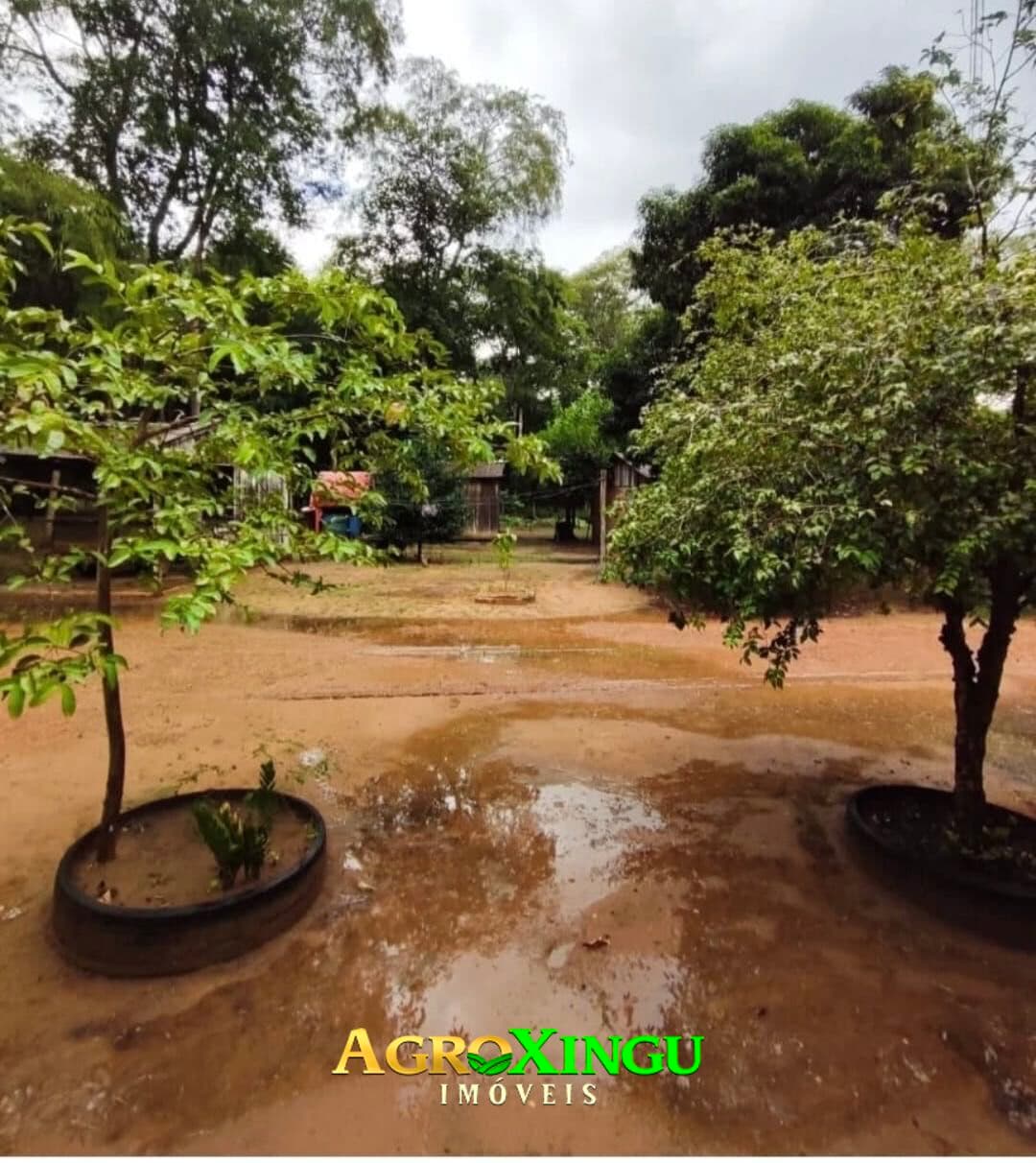 Fazenda/Sítios/Chácaras em Lucas do Rio Verde - Área Rural de Lucas do Rio Verde