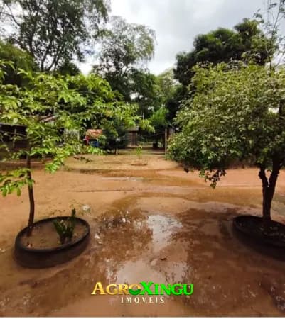 Fazenda/Sítios/Chácaras em Lucas do Rio Verde - Área Rural de Lucas do Rio Verde