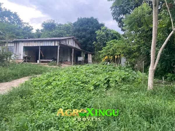 Fazenda/Sítios/Chácaras em Sorriso - Área Rural de Sorriso