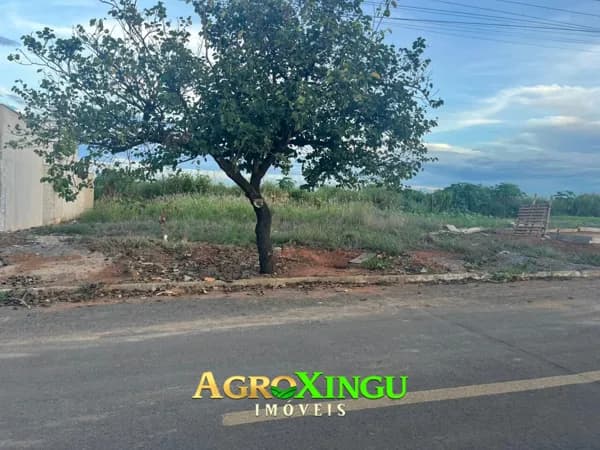 Lote/Terreno em Sorriso - Santa Clara