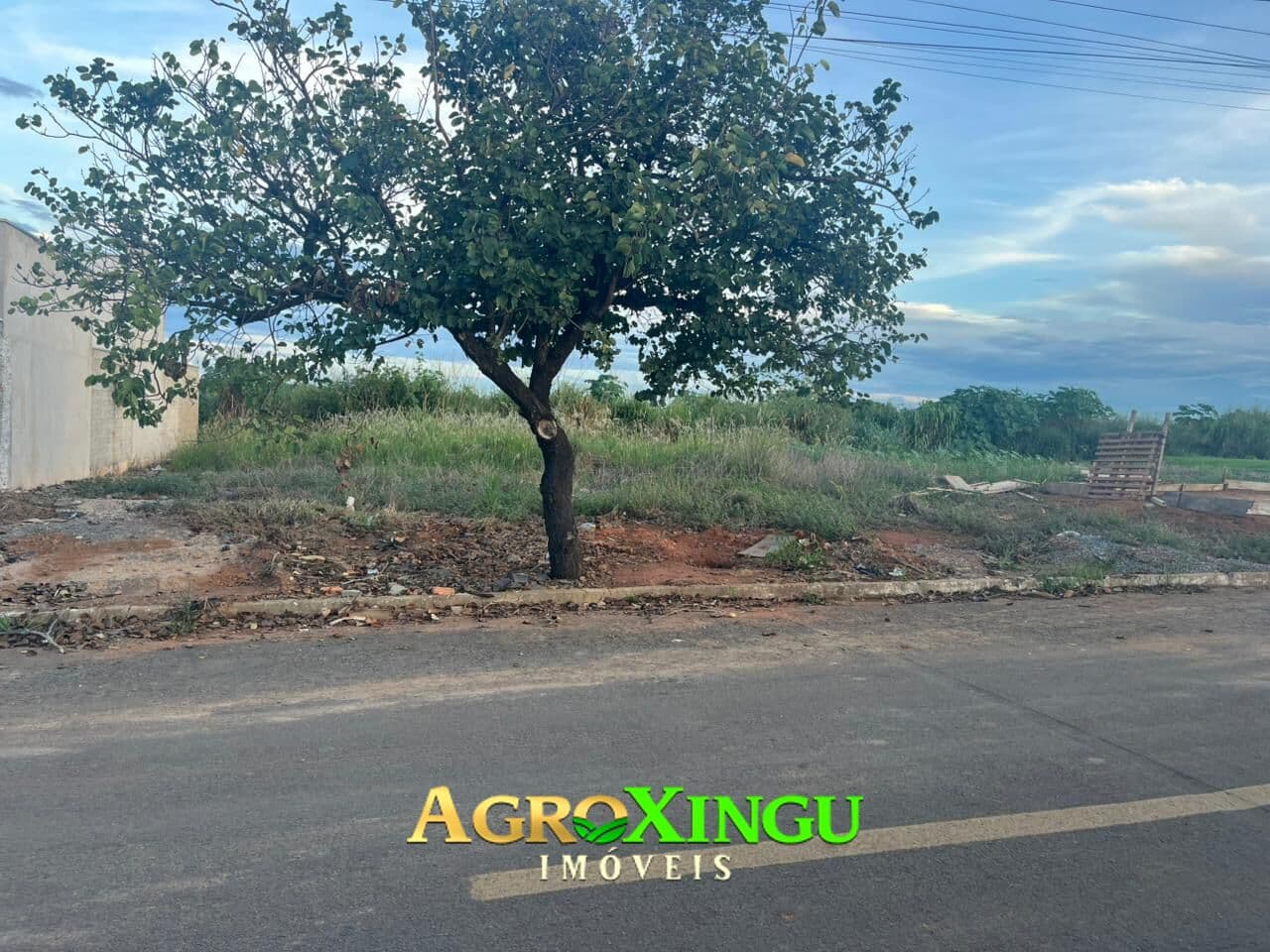 Lote/Terreno em Sorriso - Santa Clara