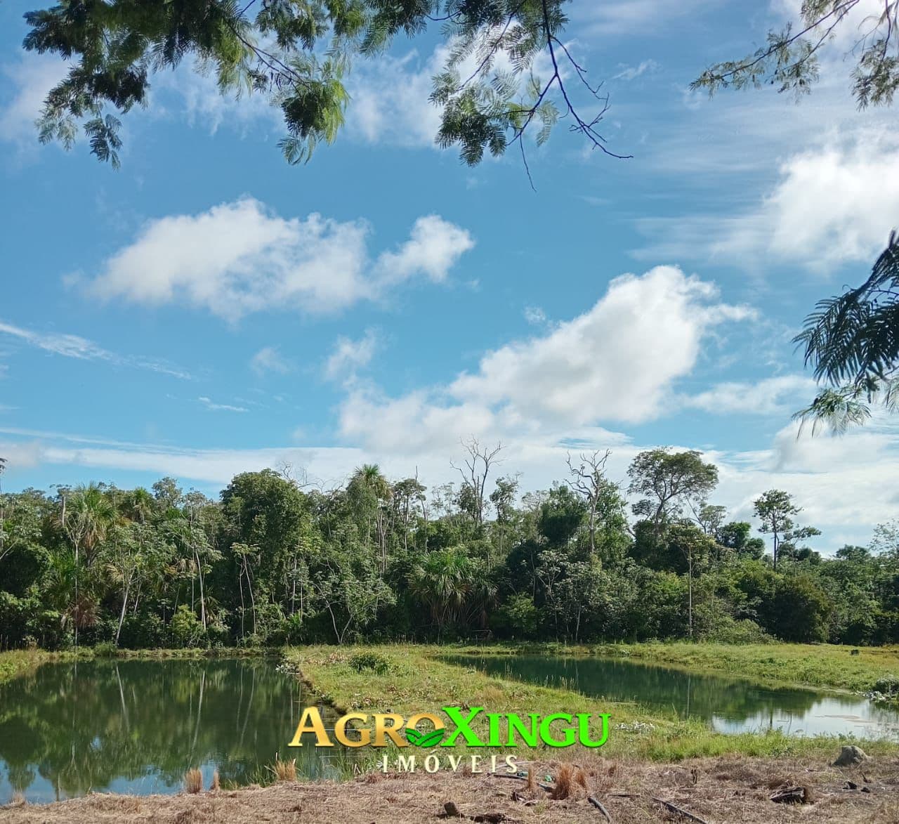 Fazenda/Sítios/Chácaras em Sorriso - Área Rural de Sorriso