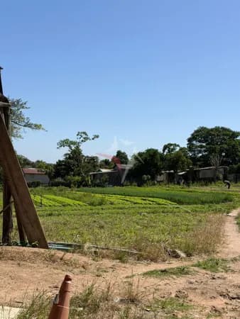 Fazenda/Sítios/Chácaras em Alvorada - Maringá