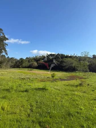 Sitio de 5 hectares – Beleza, Tranquilidade e Contato com a natureza