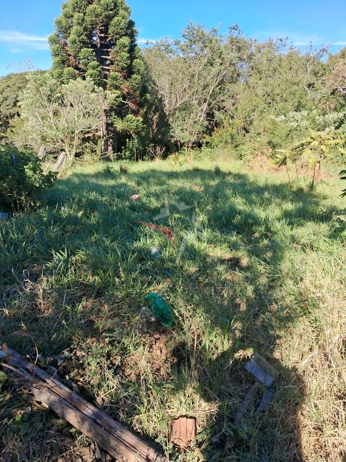 Fazenda/Sítios/Chácaras em Viamão - Tarumã